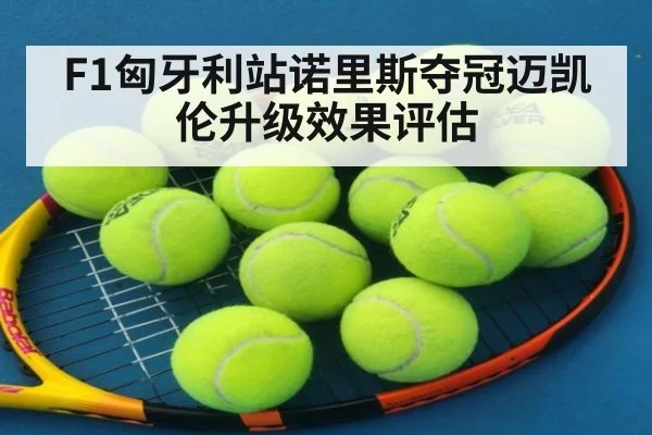 F1匈牙利站诺里斯夺冠迈凯伦升级效果评估