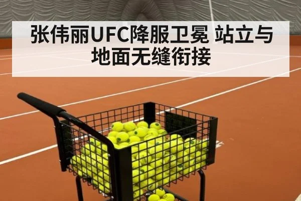 张伟丽UFC降服卫冕 站立与地面无缝衔接