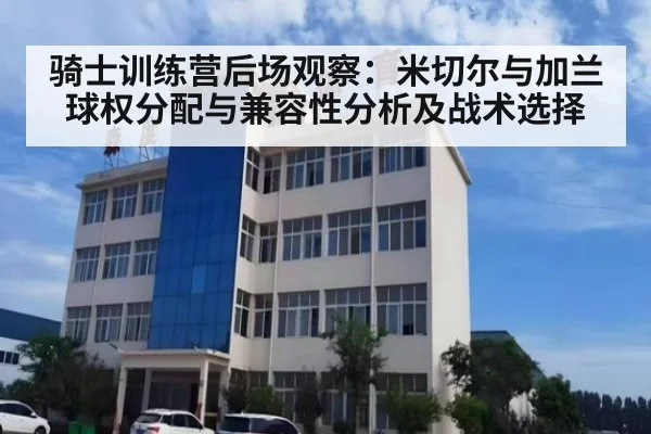 骑士训练营后场观察：米切尔与加兰球权分配与兼容性分析及战术选择
