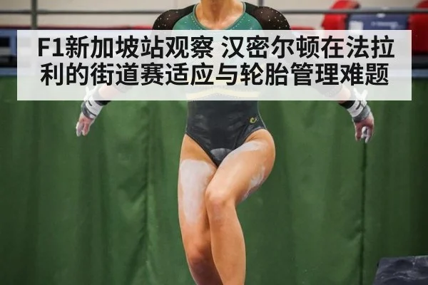 F1新加坡站观察 汉密尔顿在法拉利的街道赛适应与轮胎管理难题